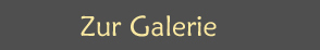 Galerie